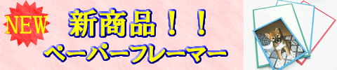 �ڡ��ѡ��ե졼�ޡ�